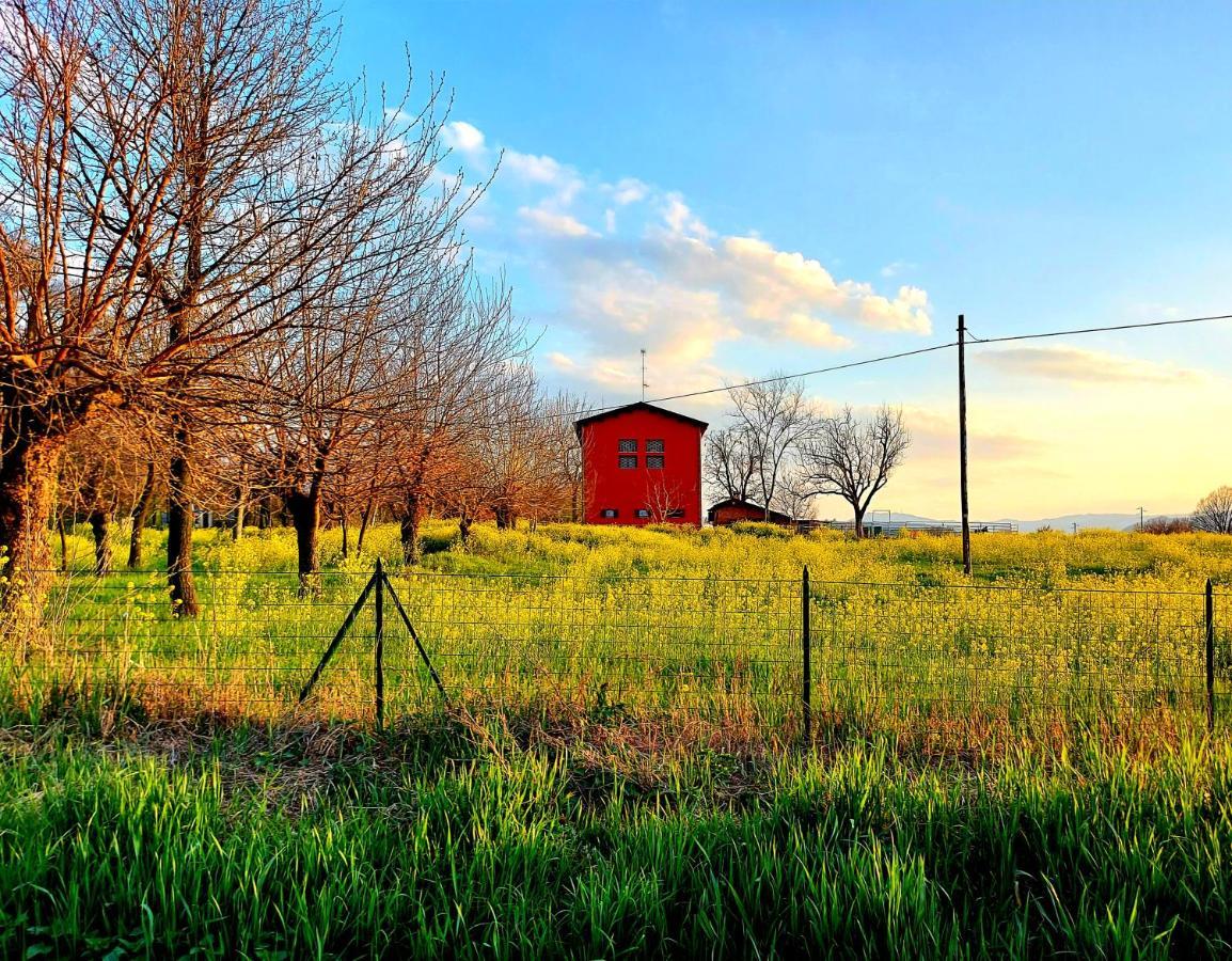 Agriturismo Azienda Agricola Ferrari M.Rita Pozza Extérieur photo