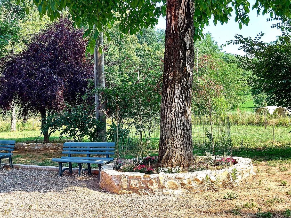 Agriturismo Azienda Agricola Ferrari M.Rita Pozza Extérieur photo